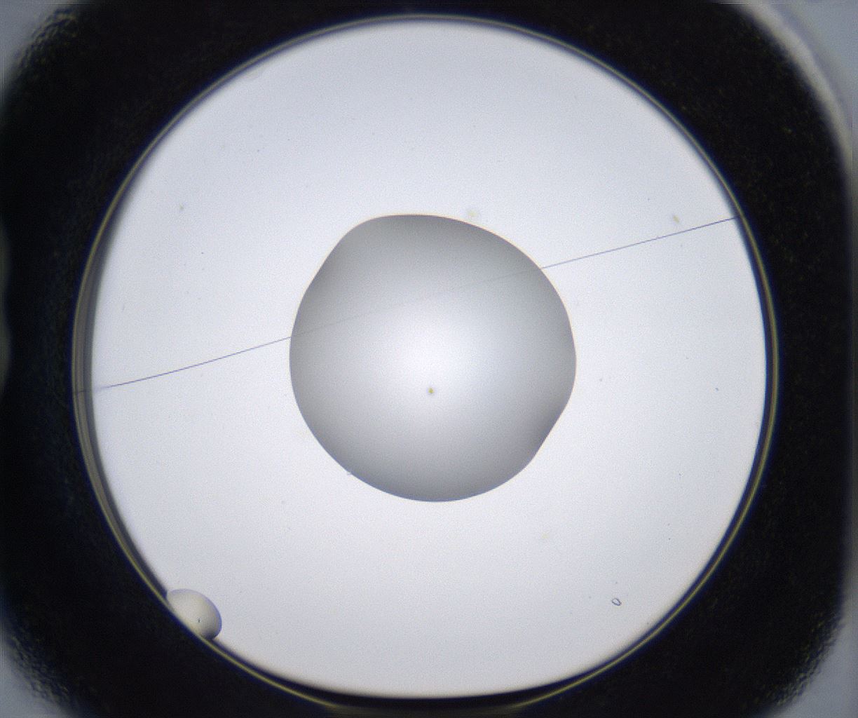 folderID303_plateID2303_batchID10849_wellNum13_profileID1_d1_r161146_ef.jpg