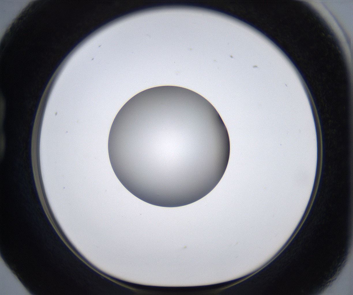 folderID303_plateID2303_batchID10849_wellNum17_profileID1_d1_r161150_ef.jpg