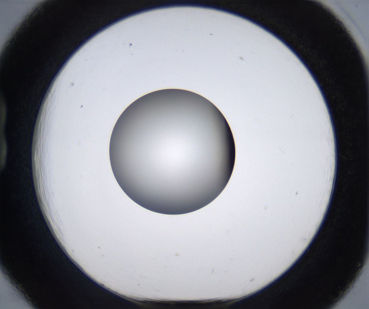 folderID303_plateID2303_batchID10849_wellNum18_profileID1_d1_r161151_ef.jpg