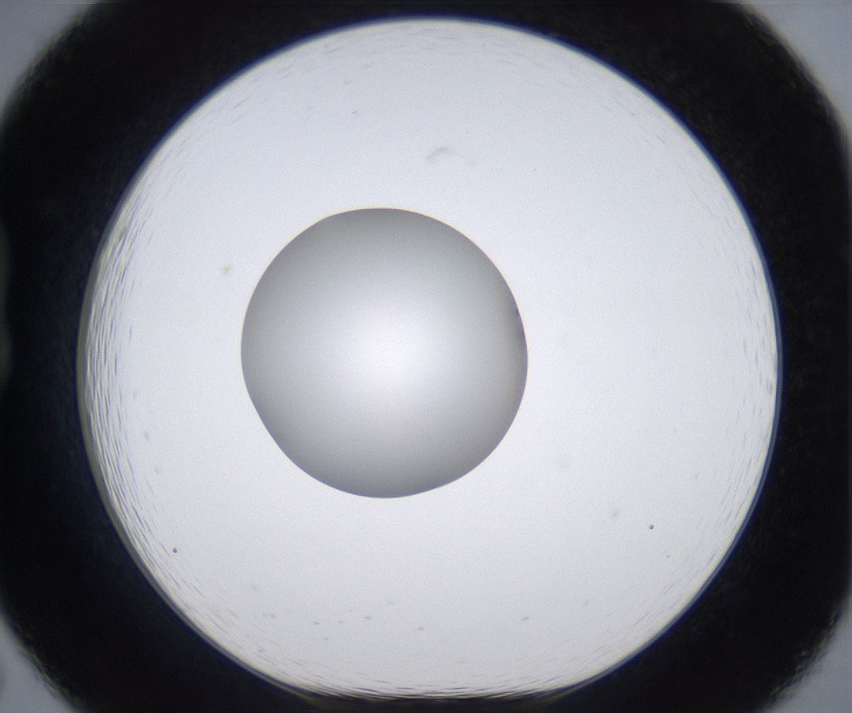 folderID303_plateID2303_batchID10849_wellNum19_profileID1_d1_r161152_ef.jpg