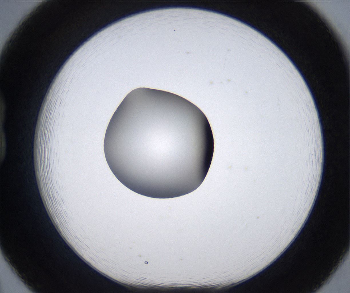 folderID303_plateID2303_batchID10849_wellNum20_profileID1_d1_r161153_ef.jpg