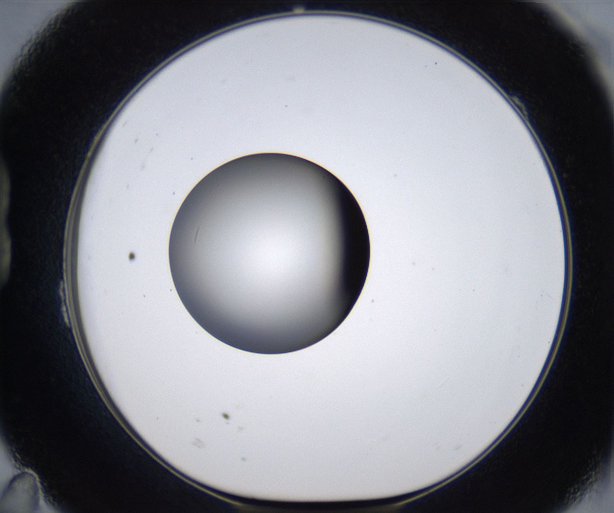 folderID303_plateID2303_batchID10849_wellNum23_profileID1_d1_r161156_ef.jpg
