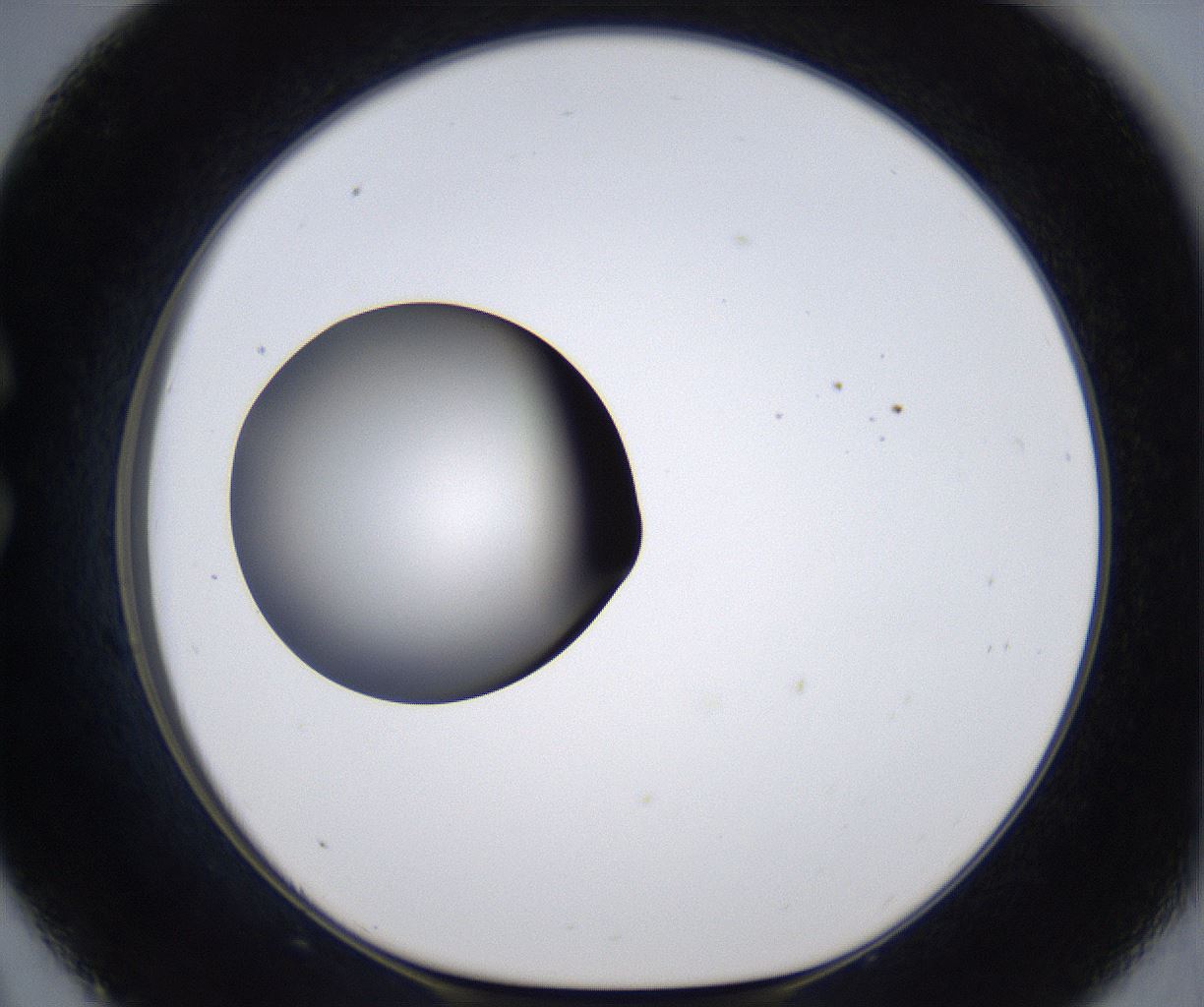 folderID303_plateID2303_batchID10849_wellNum33_profileID1_d1_r161166_ef.jpg