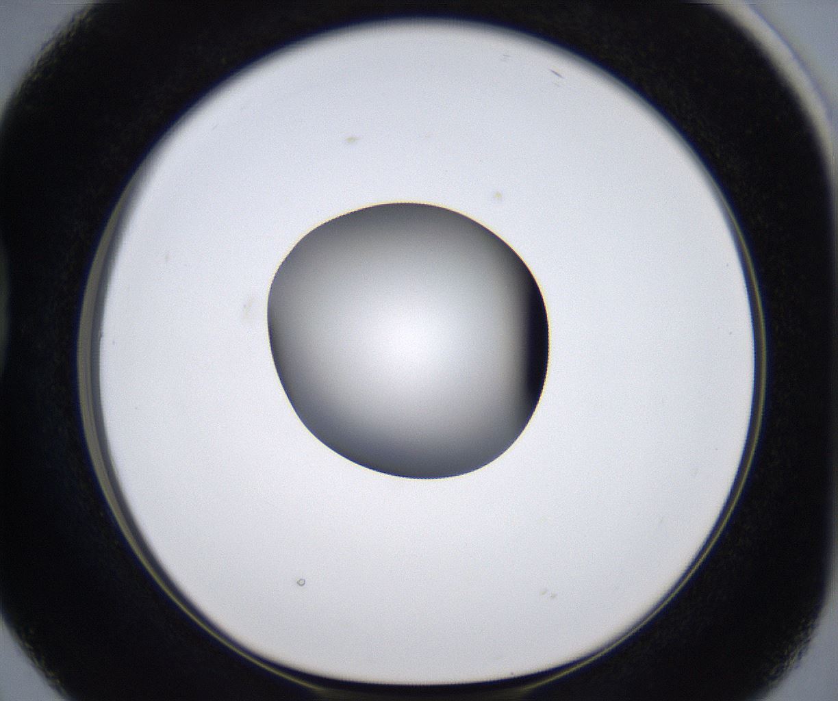 folderID303_plateID2303_batchID10849_wellNum38_profileID1_d1_r161171_ef.jpg