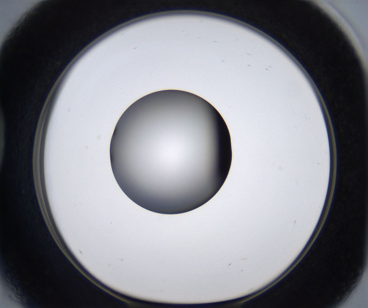 folderID303_plateID2303_batchID10849_wellNum41_profileID1_d1_r161174_ef.jpg