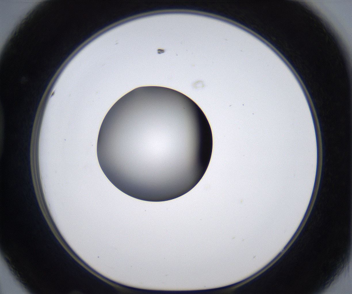 folderID303_plateID2303_batchID10849_wellNum44_profileID1_d1_r161177_ef.jpg