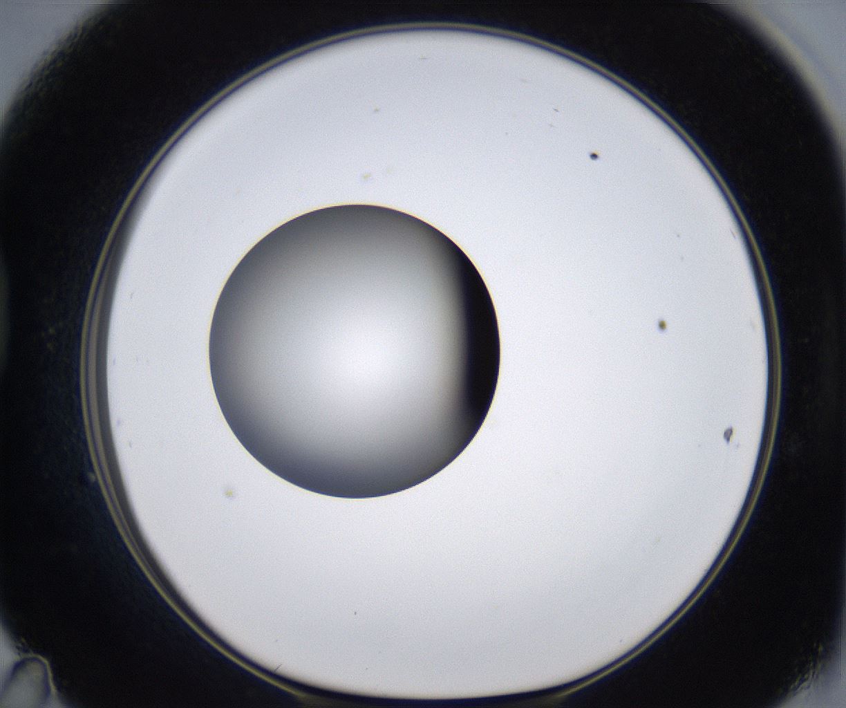 folderID303_plateID2303_batchID10849_wellNum47_profileID1_d1_r161180_ef.jpg