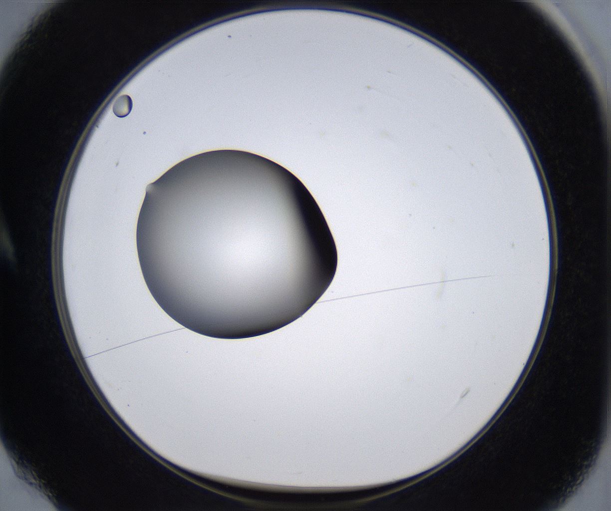 folderID303_plateID2303_batchID10849_wellNum4_profileID1_d1_r161137_ef.jpg
