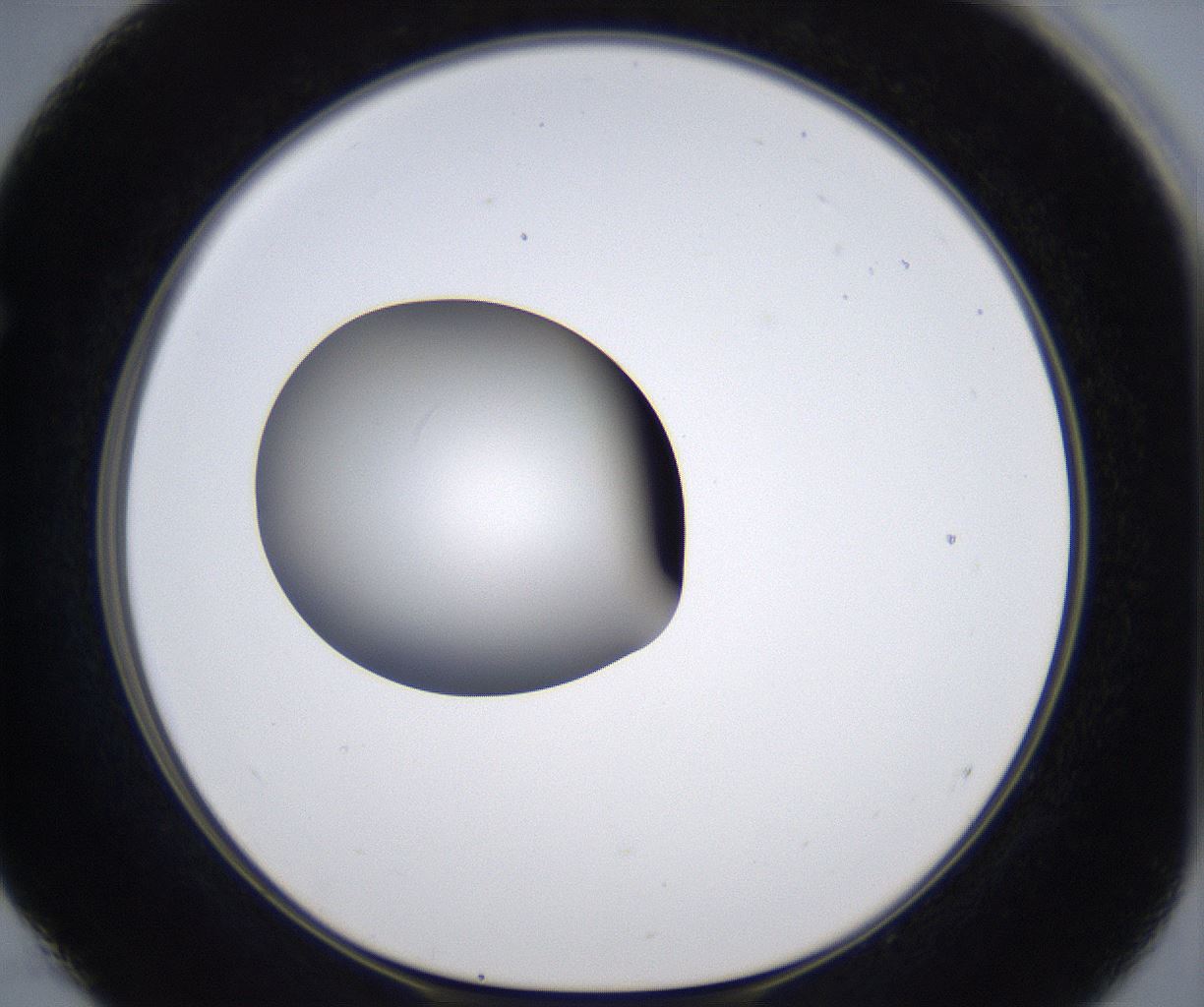 folderID303_plateID2303_batchID10849_wellNum52_profileID1_d1_r161185_ef.jpg