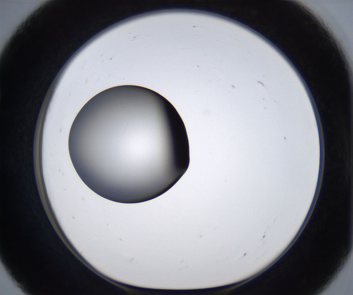 folderID303_plateID2303_batchID10849_wellNum55_profileID1_d1_r161188_ef.jpg