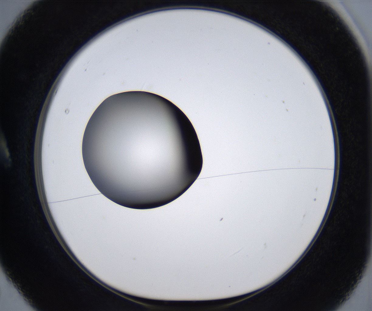 folderID303_plateID2303_batchID10849_wellNum5_profileID1_d1_r161138_ef.jpg