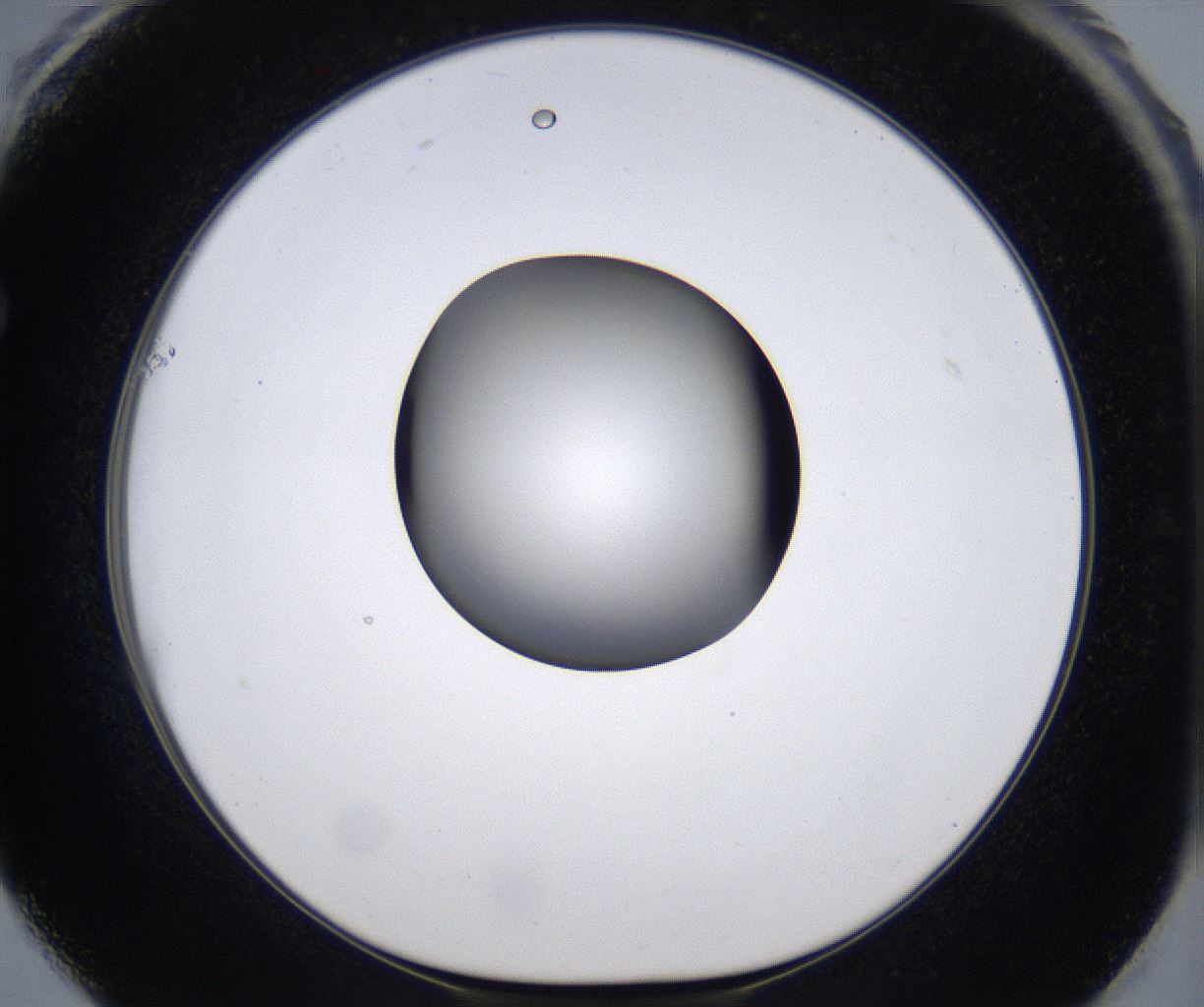 folderID303_plateID2303_batchID10849_wellNum61_profileID1_d1_r161194_ef.jpg