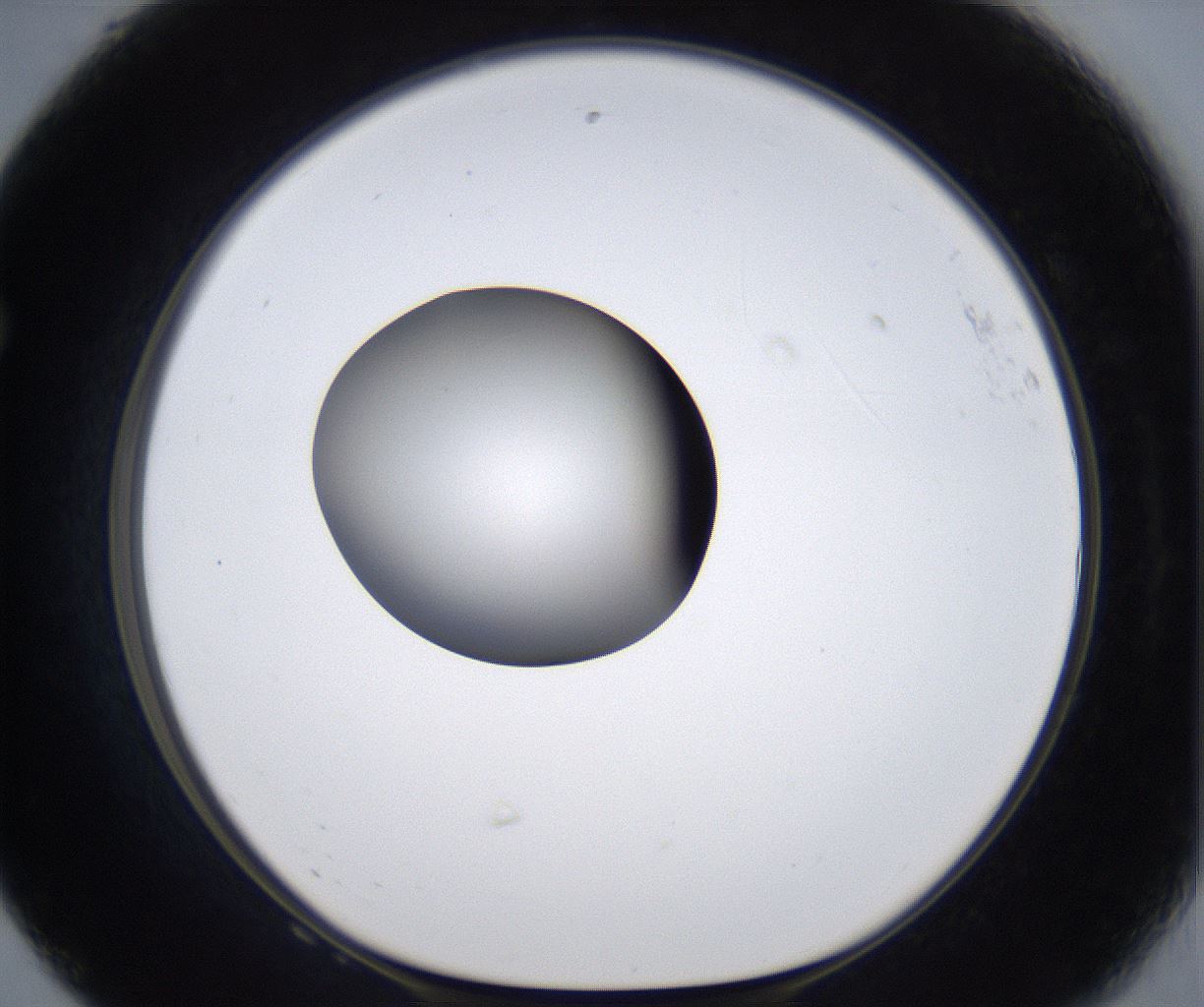 folderID303_plateID2303_batchID10849_wellNum68_profileID1_d1_r161201_ef.jpg