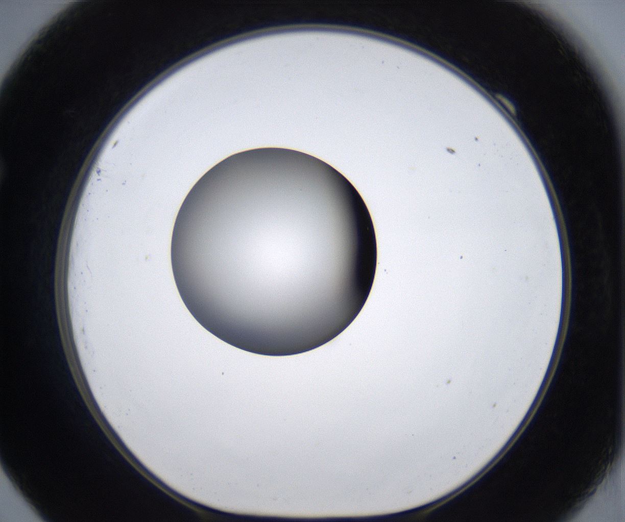 folderID303_plateID2303_batchID10849_wellNum69_profileID1_d1_r161202_ef.jpg