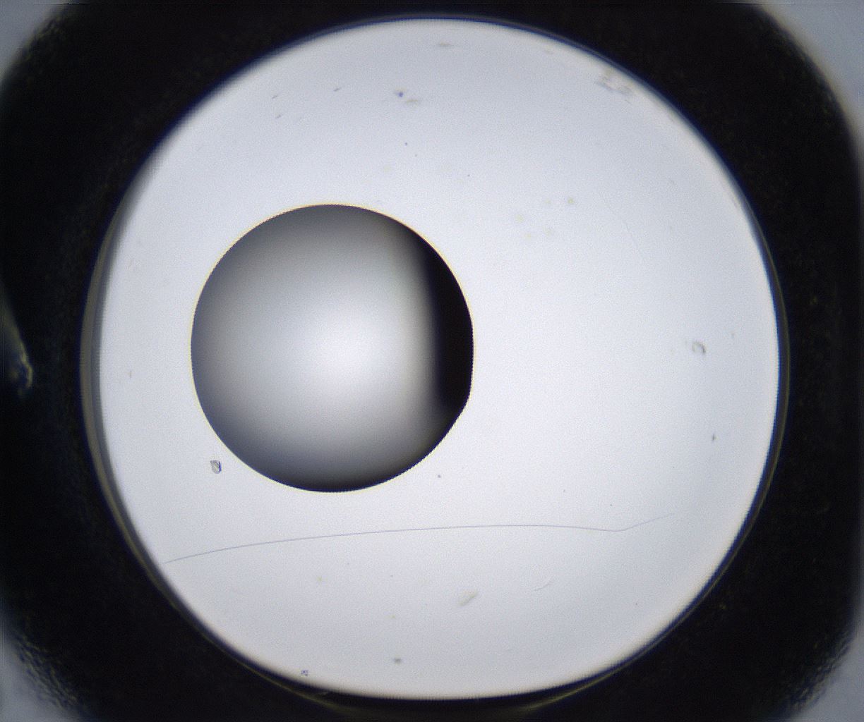 folderID303_plateID2303_batchID10849_wellNum6_profileID1_d1_r161139_ef.jpg