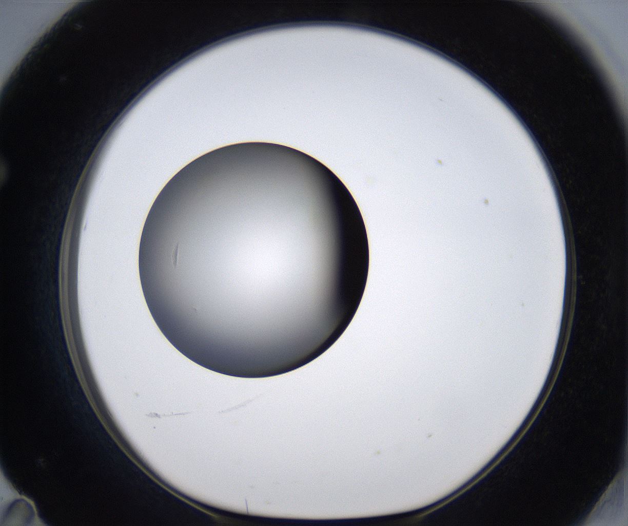 folderID303_plateID2303_batchID10849_wellNum71_profileID1_d1_r161204_ef.jpg