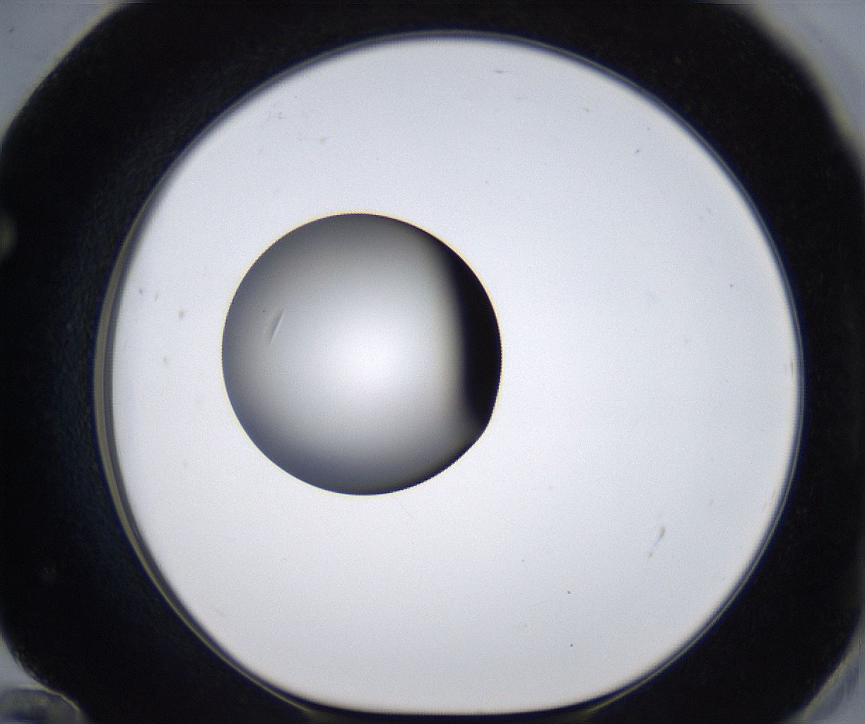 folderID303_plateID2303_batchID10849_wellNum72_profileID1_d1_r161205_ef.jpg
