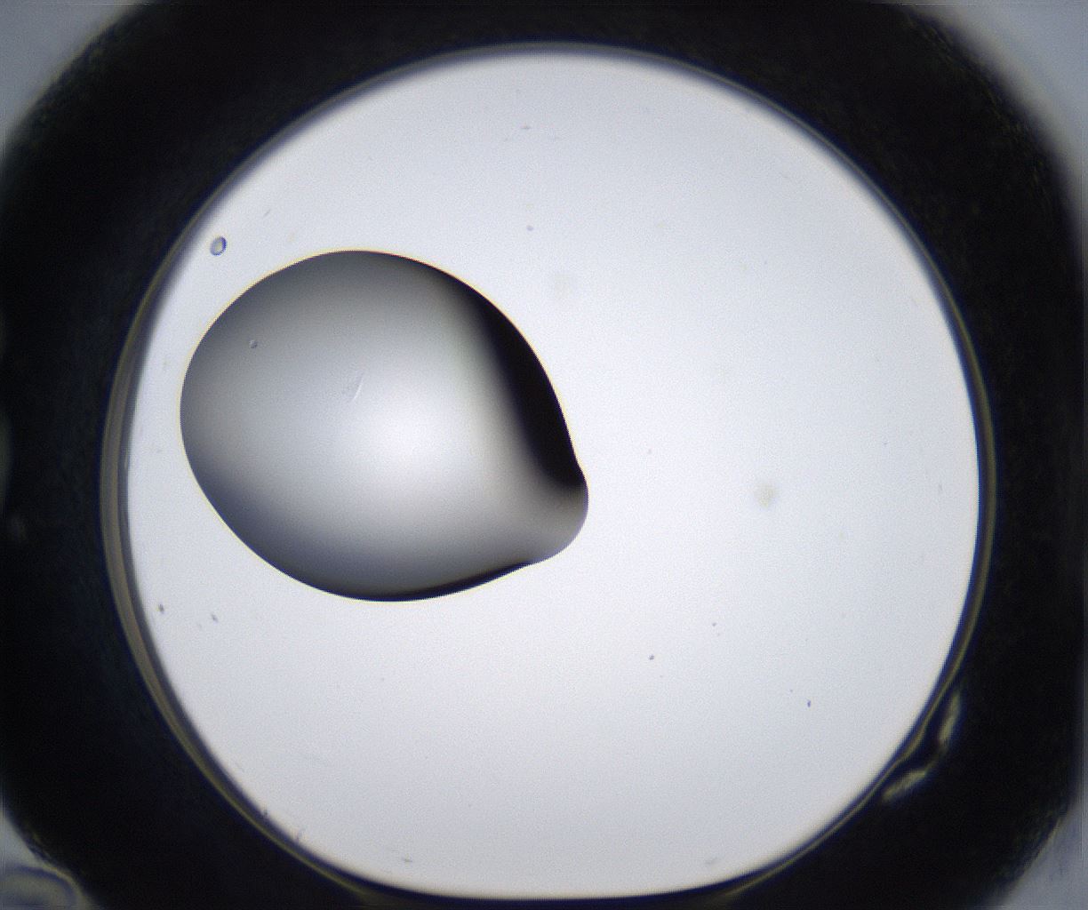 folderID303_plateID2303_batchID10849_wellNum82_profileID1_d1_r161215_ef.jpg