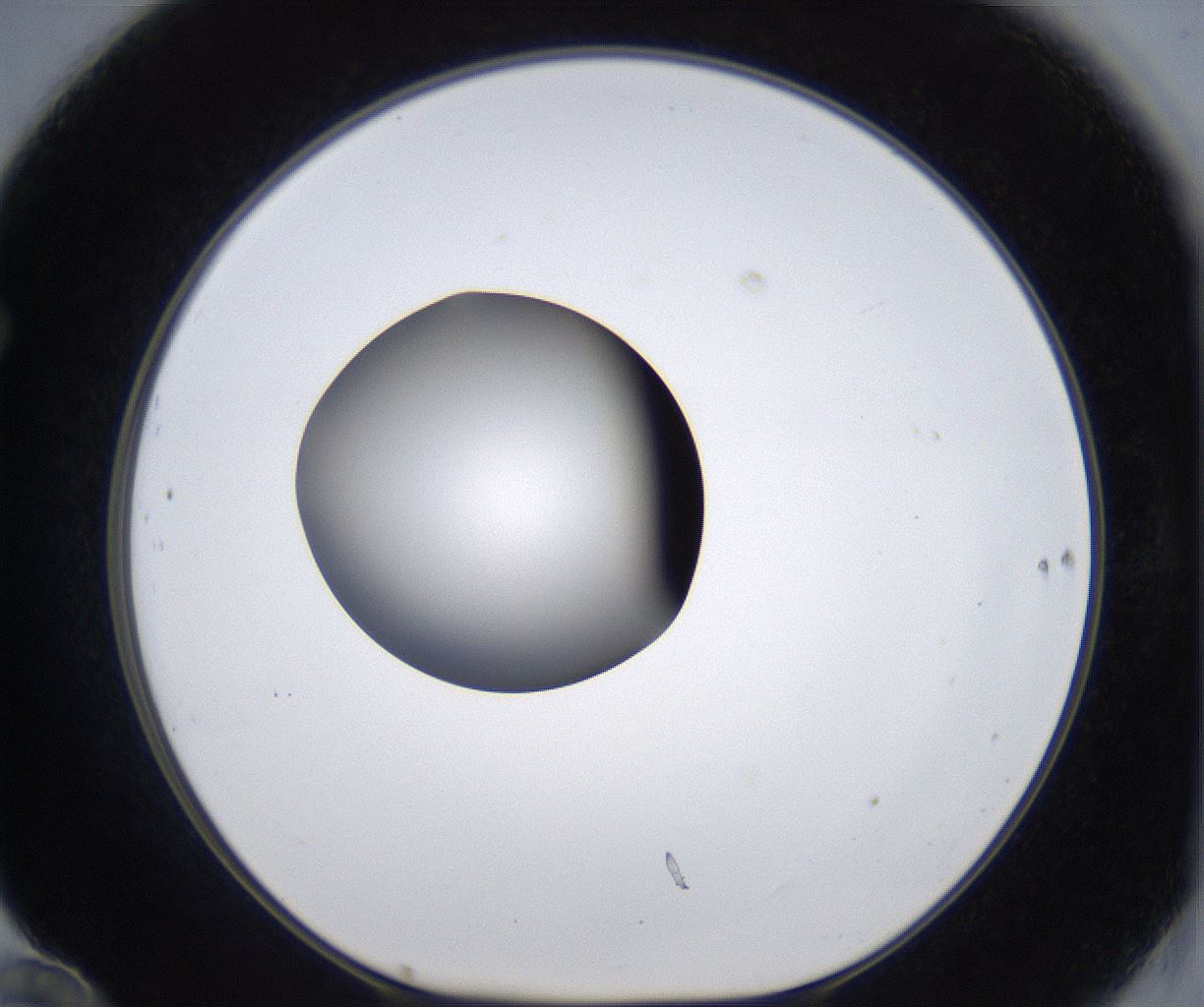 folderID303_plateID2303_batchID10849_wellNum70_profileID1_d1_r161203_ef.jpg