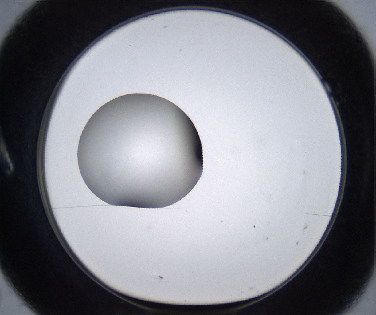folderID303_plateID2303_batchID10849_wellNum7_profileID1_d1_r161140_ef.jpg
