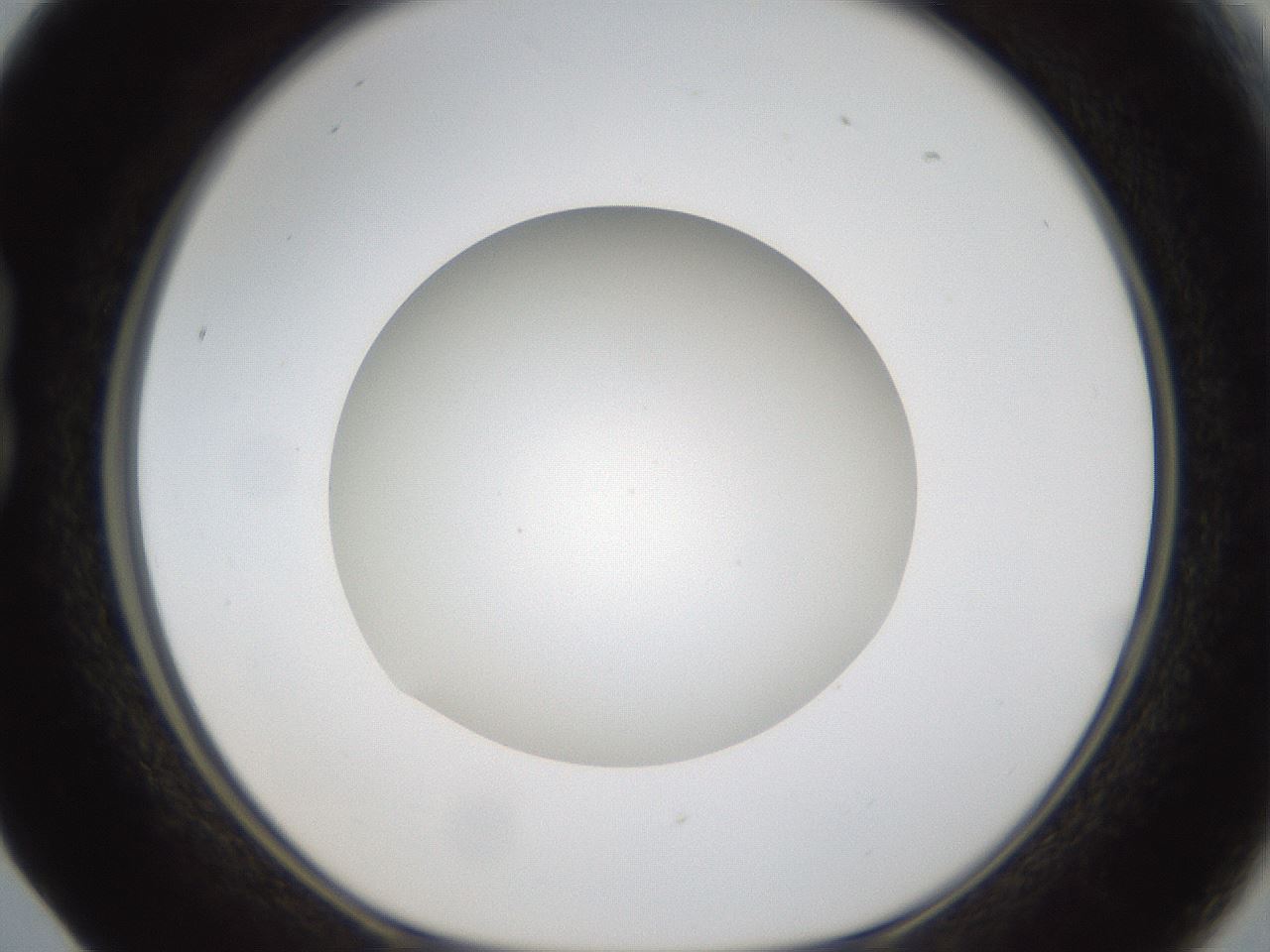 folderID304_plateID1304_batchID4270_wellNum17_profileID1_d1_r78792_ef.jpg