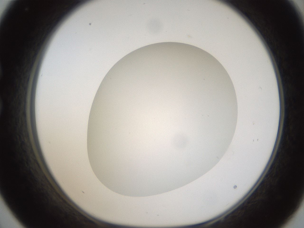 folderID304_plateID1304_batchID4270_wellNum33_profileID1_d1_r78808_ef.jpg
