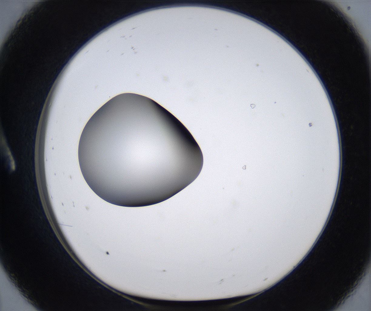 folderID303_plateID2303_batchID10849_wellNum8_profileID1_d1_r161141_ef.jpg