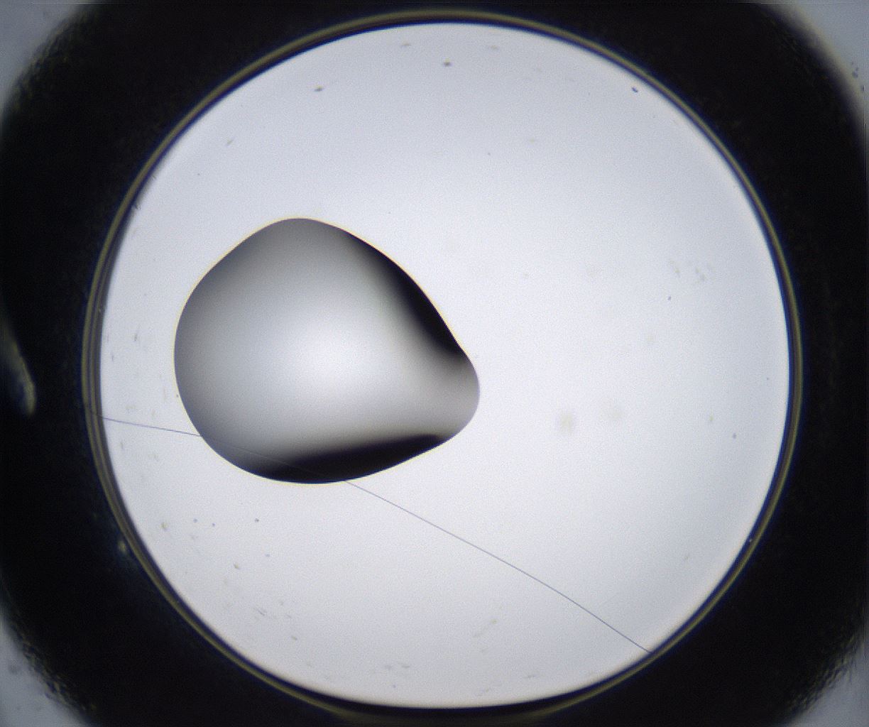 folderID303_plateID2303_batchID10849_wellNum9_profileID1_d1_r161142_ef.jpg