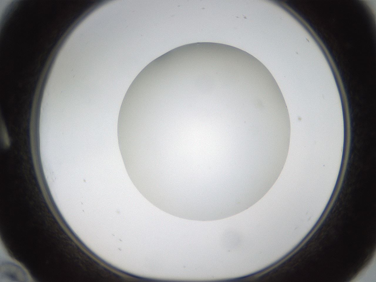folderID304_plateID1304_batchID4270_wellNum10_profileID1_d1_r78785_ef.jpg