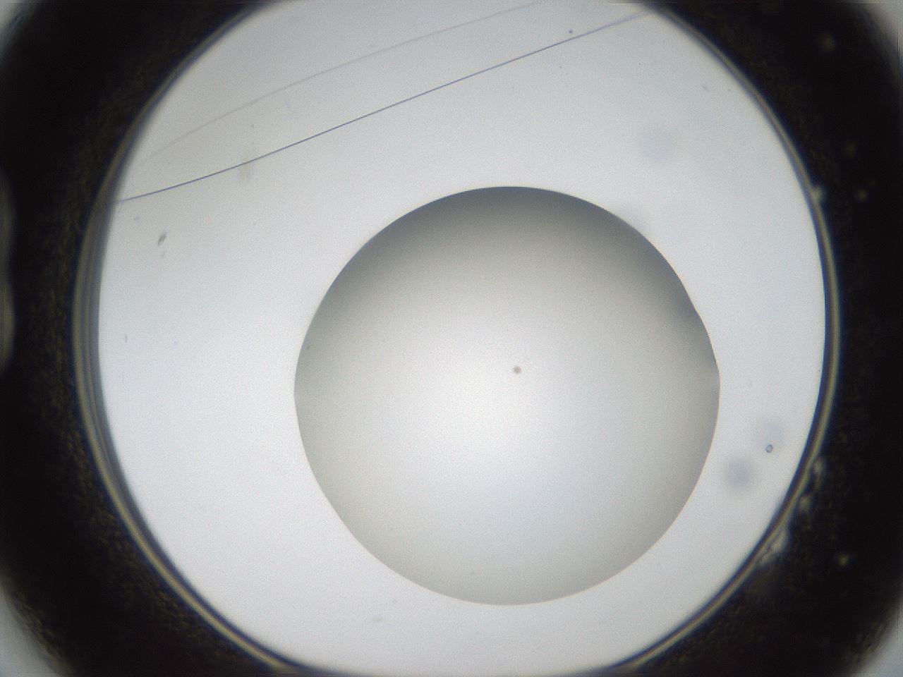 folderID304_plateID1304_batchID4270_wellNum14_profileID1_d1_r78789_ef.jpg