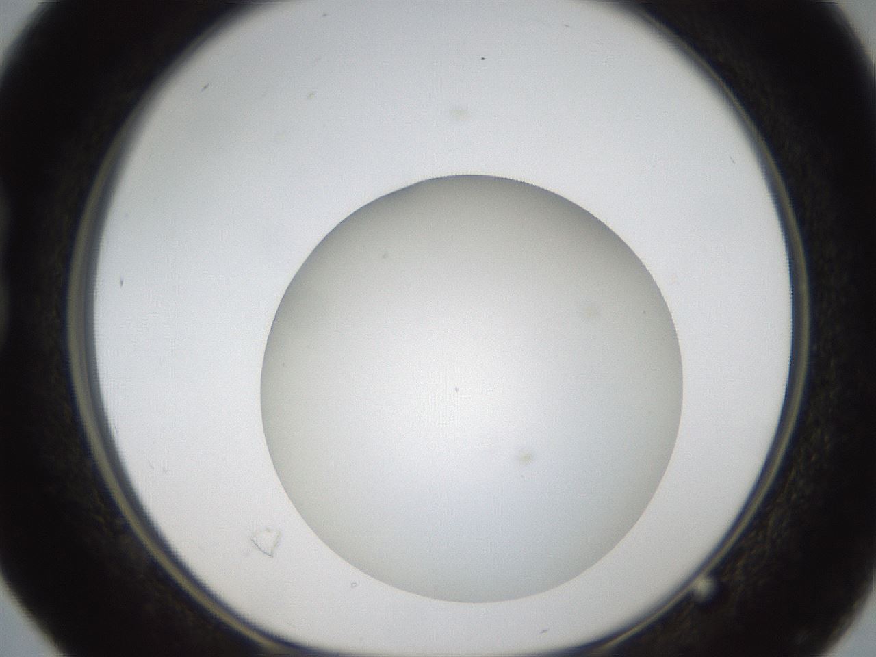 folderID304_plateID1304_batchID4270_wellNum16_profileID1_d1_r78791_ef.jpg