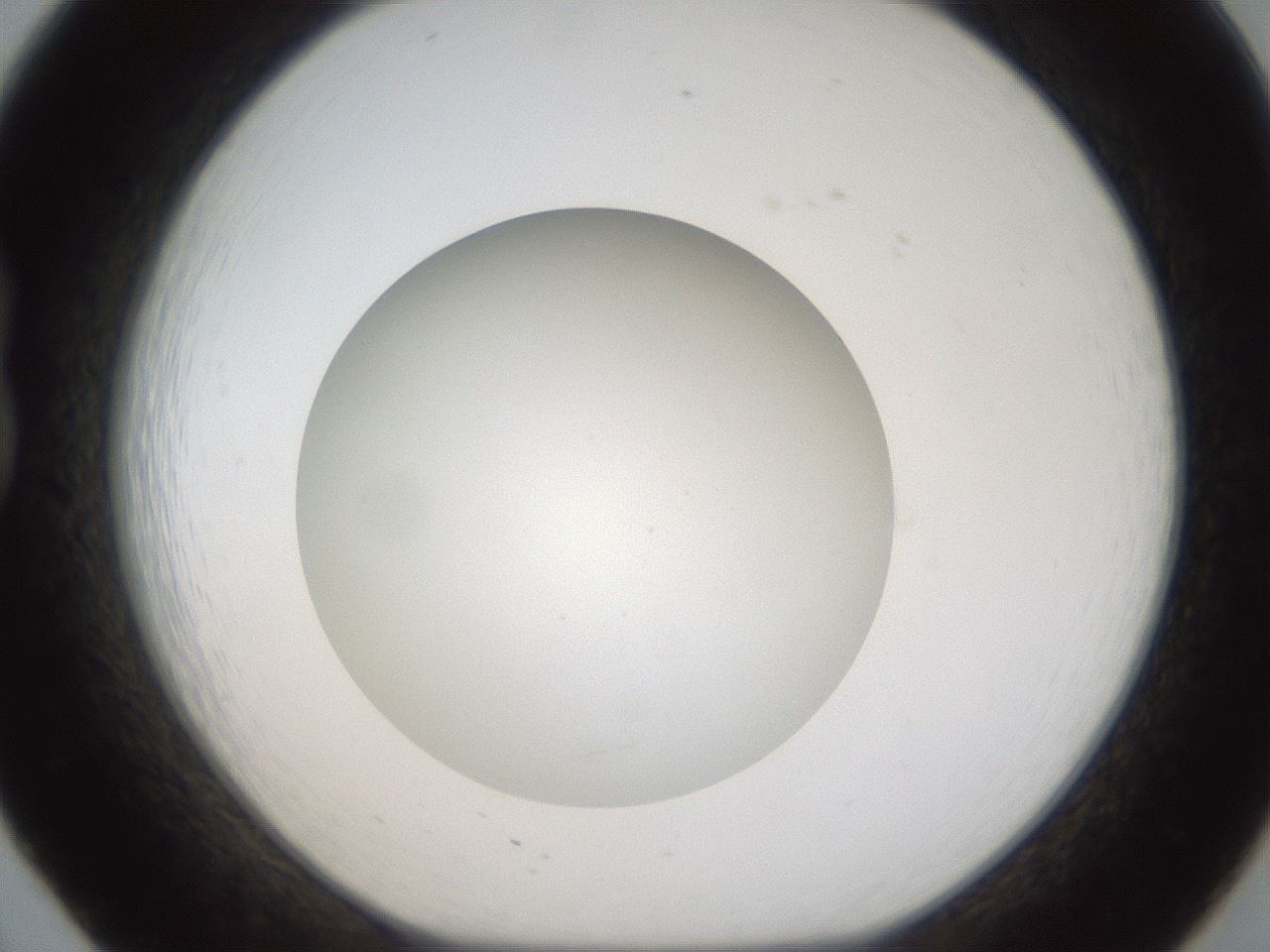folderID304_plateID1304_batchID4270_wellNum20_profileID1_d1_r78795_ef.jpg