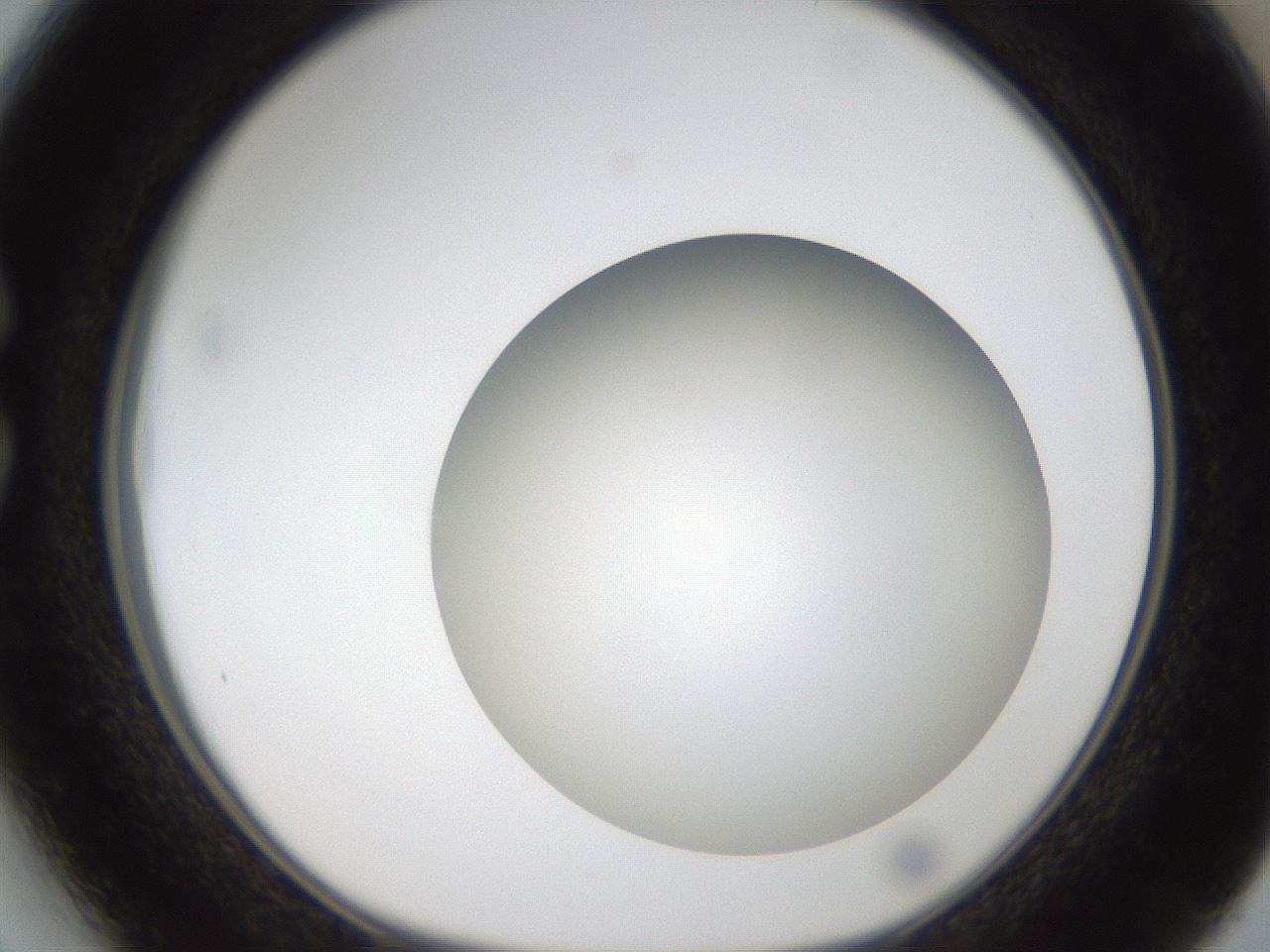 folderID304_plateID1304_batchID4270_wellNum27_profileID1_d1_r78802_ef.jpg