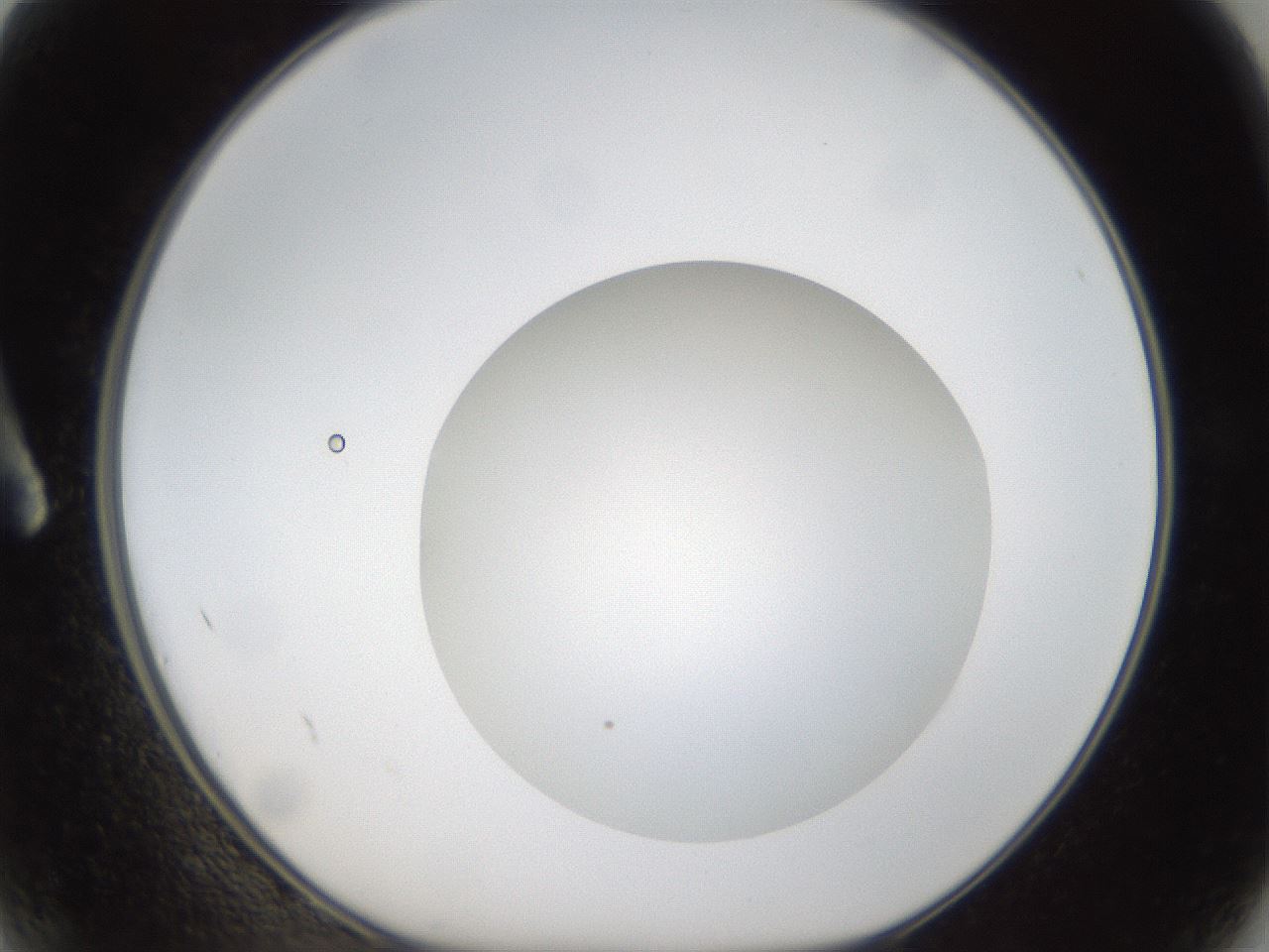 folderID304_plateID1304_batchID4270_wellNum2_profileID1_d1_r78777_ef.jpg