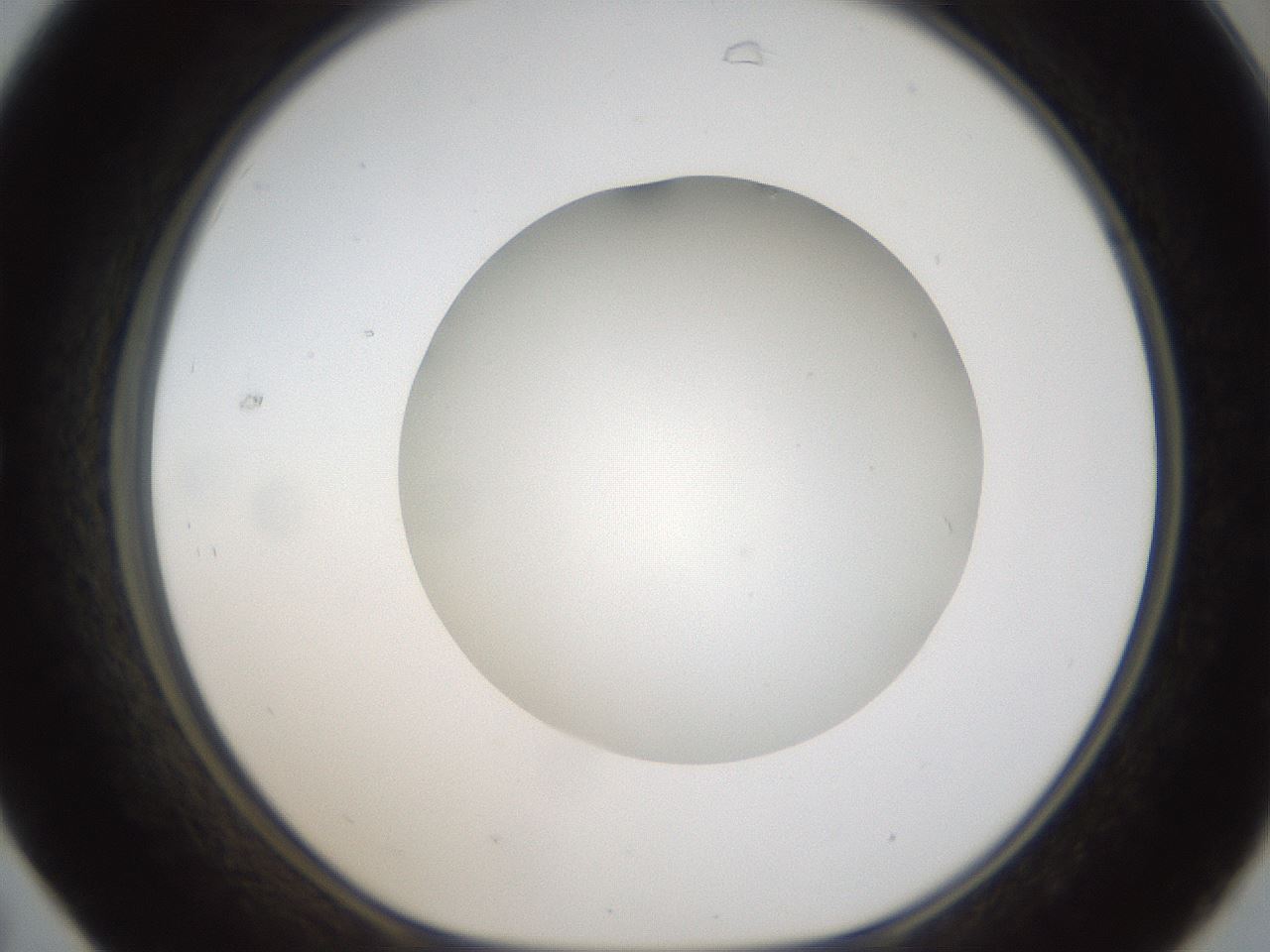 folderID304_plateID1304_batchID4270_wellNum31_profileID1_d1_r78806_ef.jpg