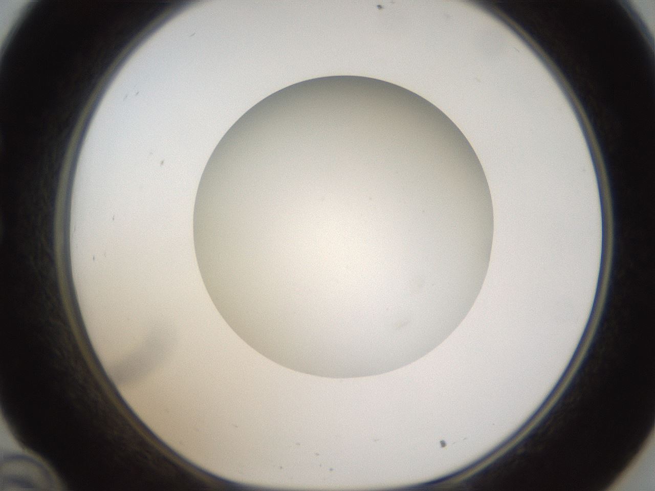 folderID304_plateID1304_batchID4270_wellNum34_profileID1_d1_r78809_ef.jpg
