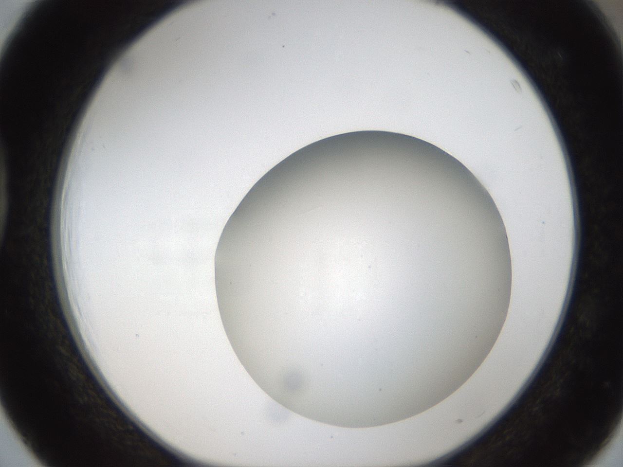 folderID304_plateID1304_batchID4270_wellNum39_profileID1_d1_r78814_ef.jpg