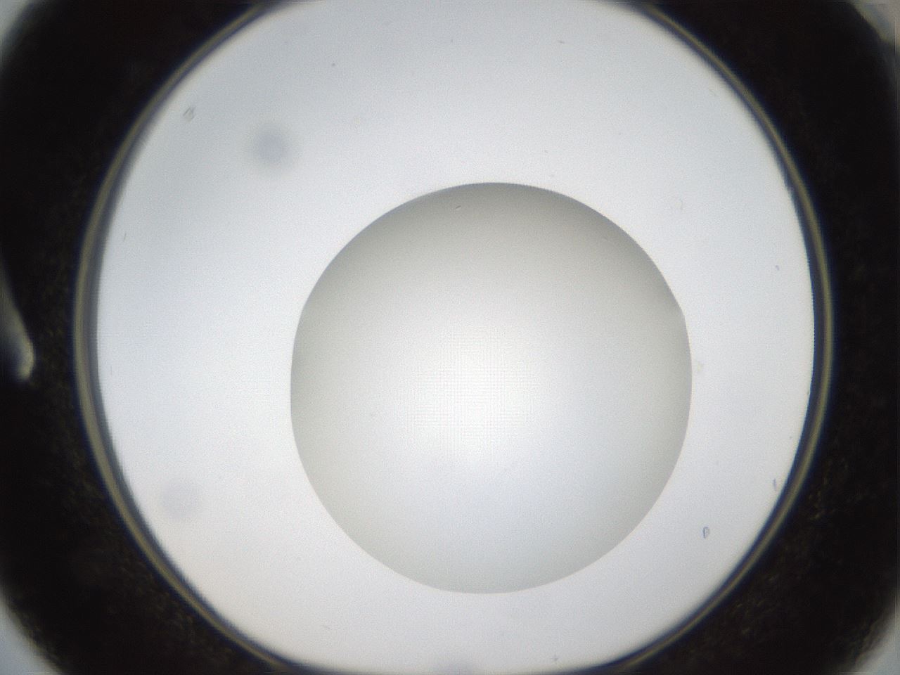 folderID304_plateID1304_batchID4270_wellNum3_profileID1_d1_r78778_ef.jpg