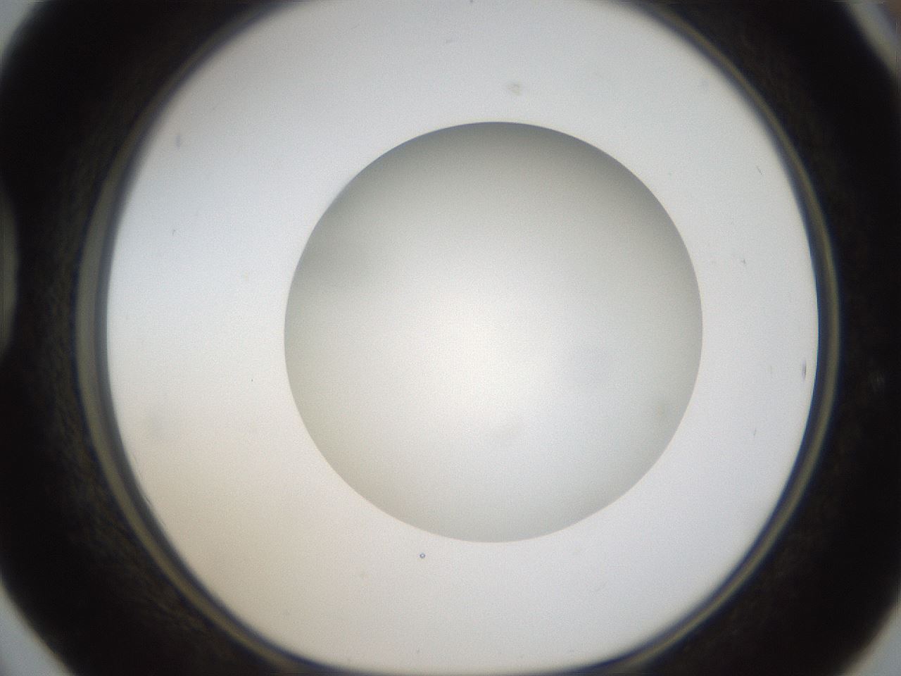 folderID304_plateID1304_batchID4270_wellNum42_profileID1_d1_r78817_ef.jpg