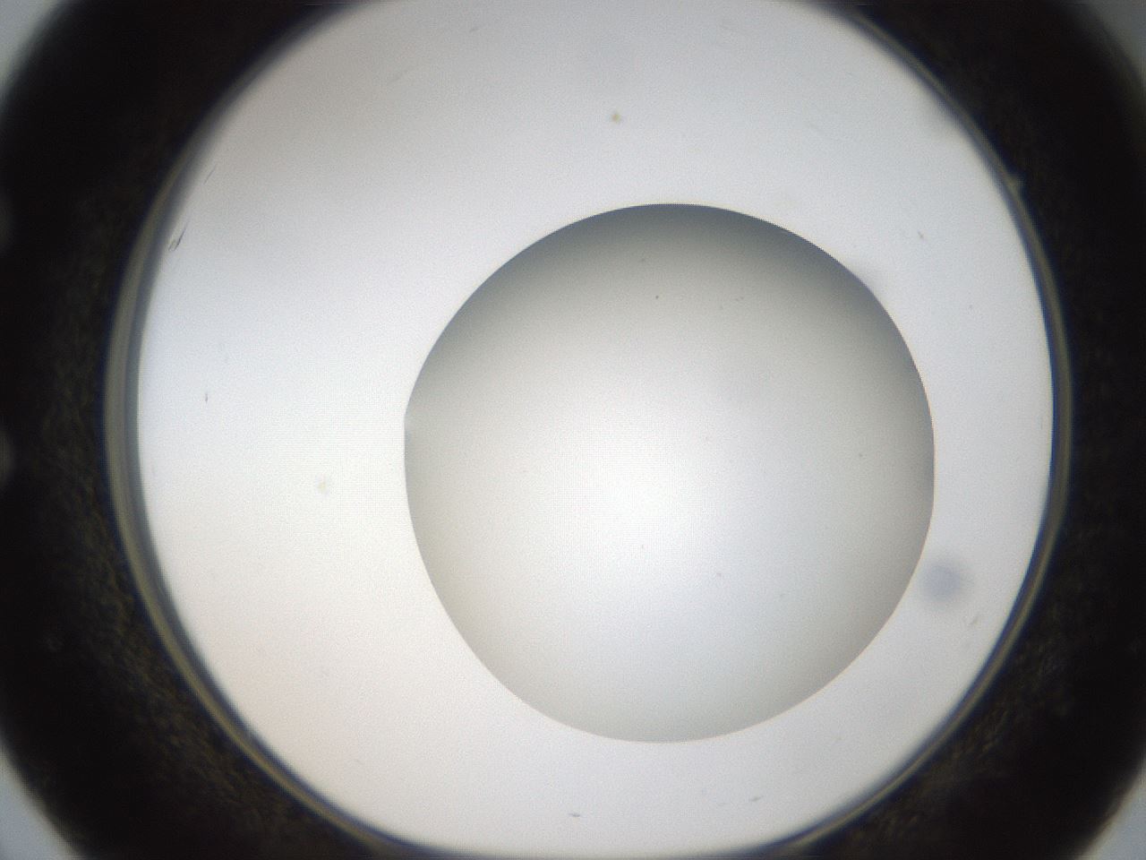 folderID304_plateID1304_batchID4270_wellNum51_profileID1_d1_r78826_ef.jpg