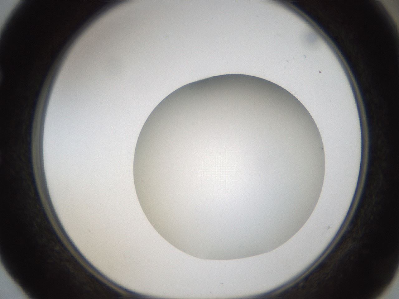 folderID304_plateID1304_batchID4270_wellNum52_profileID1_d1_r78827_ef.jpg