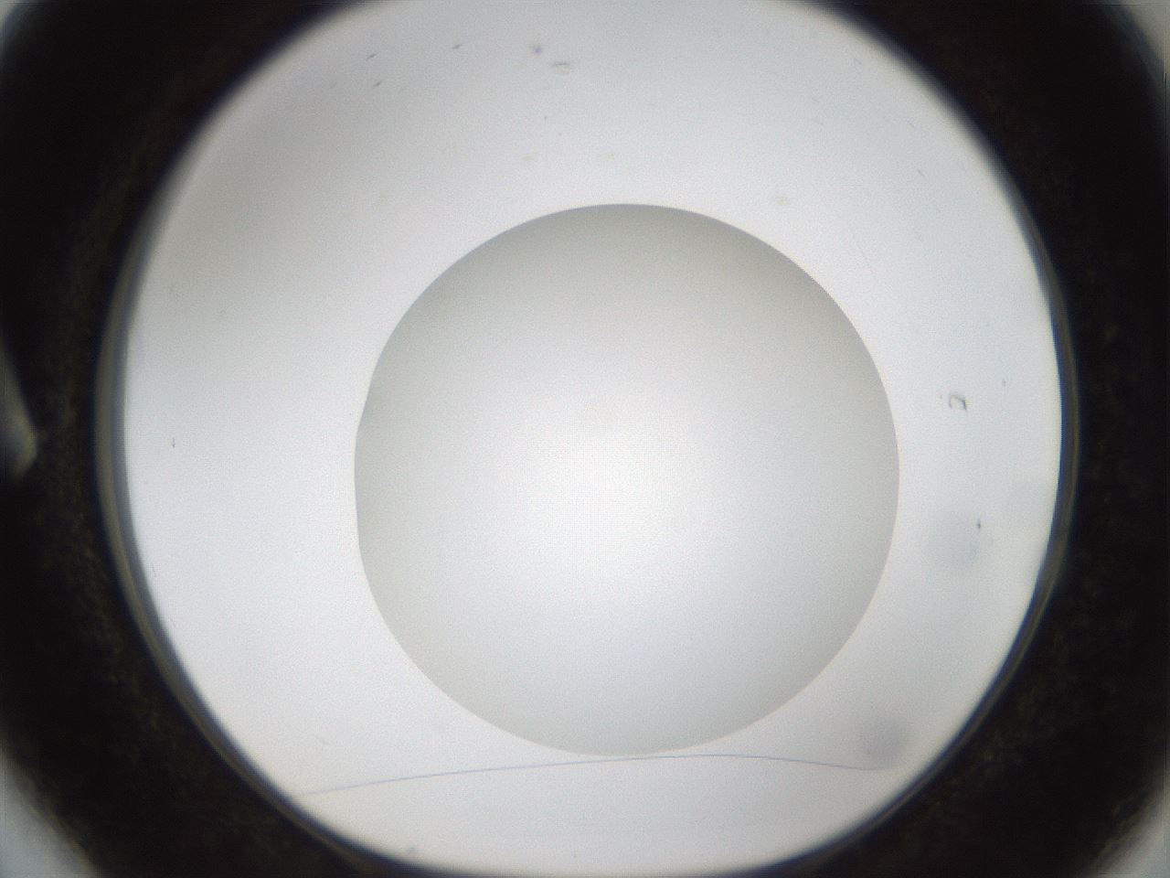 folderID304_plateID1304_batchID4270_wellNum6_profileID1_d1_r78781_ef.jpg