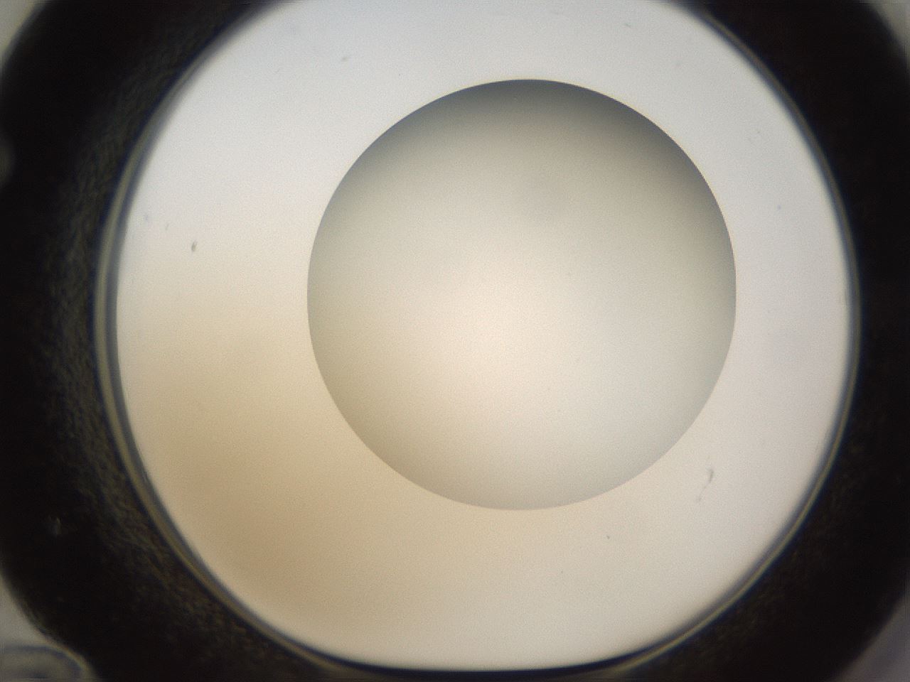 folderID304_plateID1304_batchID4270_wellNum72_profileID1_d1_r78847_ef.jpg