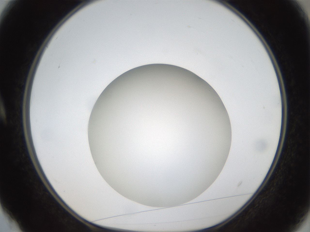 folderID304_plateID1304_batchID4270_wellNum4_profileID1_d1_r78779_ef.jpg