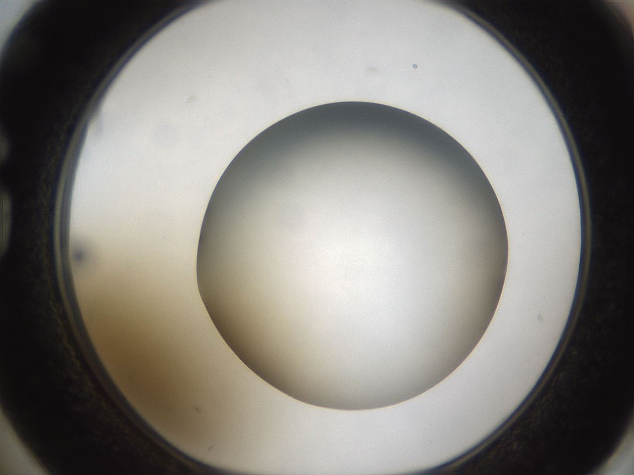 folderID304_plateID1304_batchID4270_wellNum74_profileID1_d1_r78849_ef.jpg