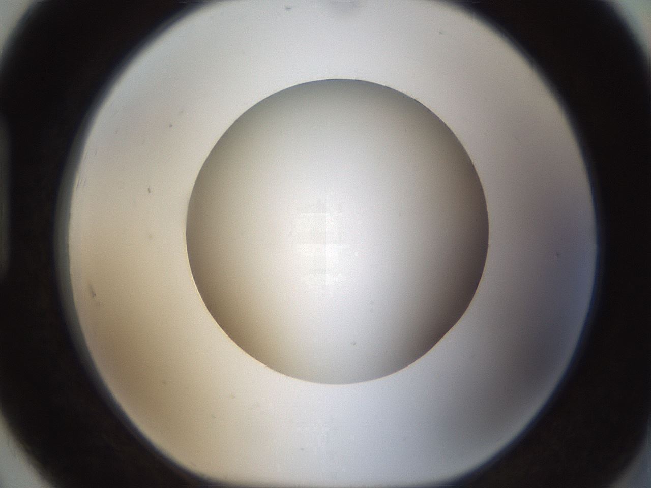 folderID304_plateID1304_batchID4270_wellNum91_profileID1_d1_r78866_ef.jpg