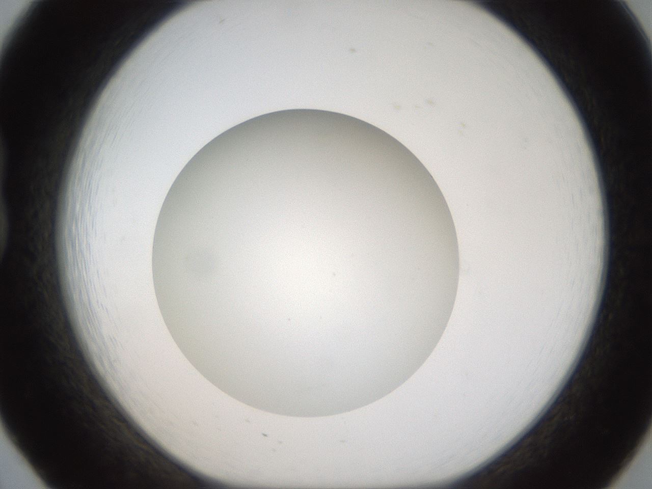 folderID304_plateID1304_batchID4307_wellNum20_profileID1_d1_r78795_ef.jpg