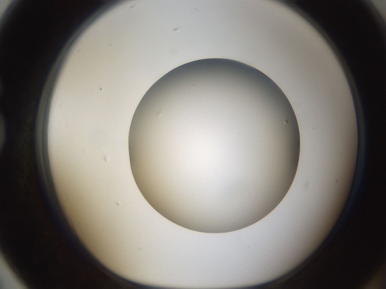 folderID304_plateID1304_batchID4270_wellNum79_profileID1_d1_r78854_ef.jpg