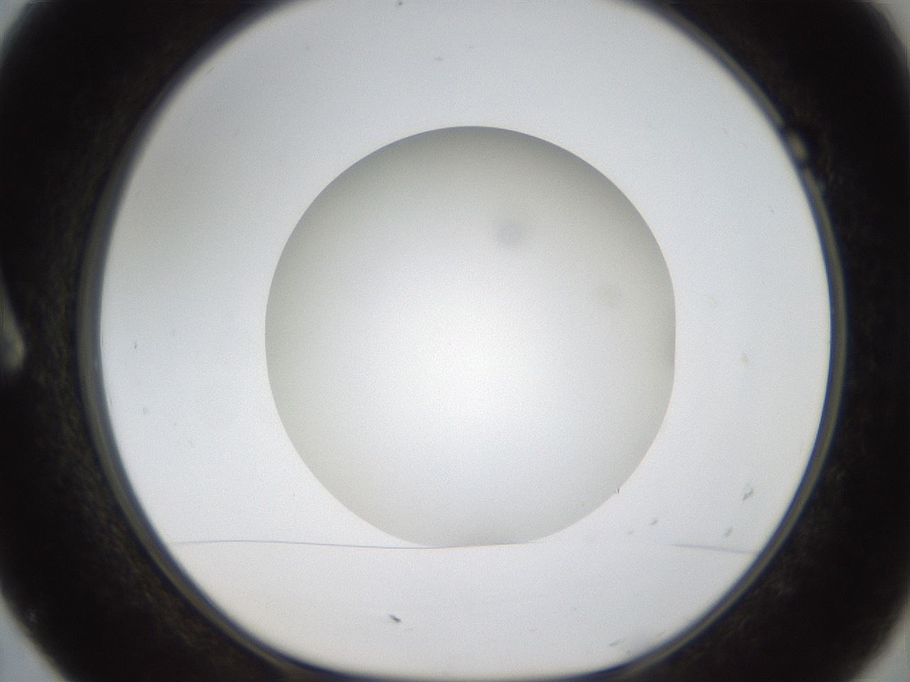 folderID304_plateID1304_batchID4270_wellNum7_profileID1_d1_r78782_ef.jpg
