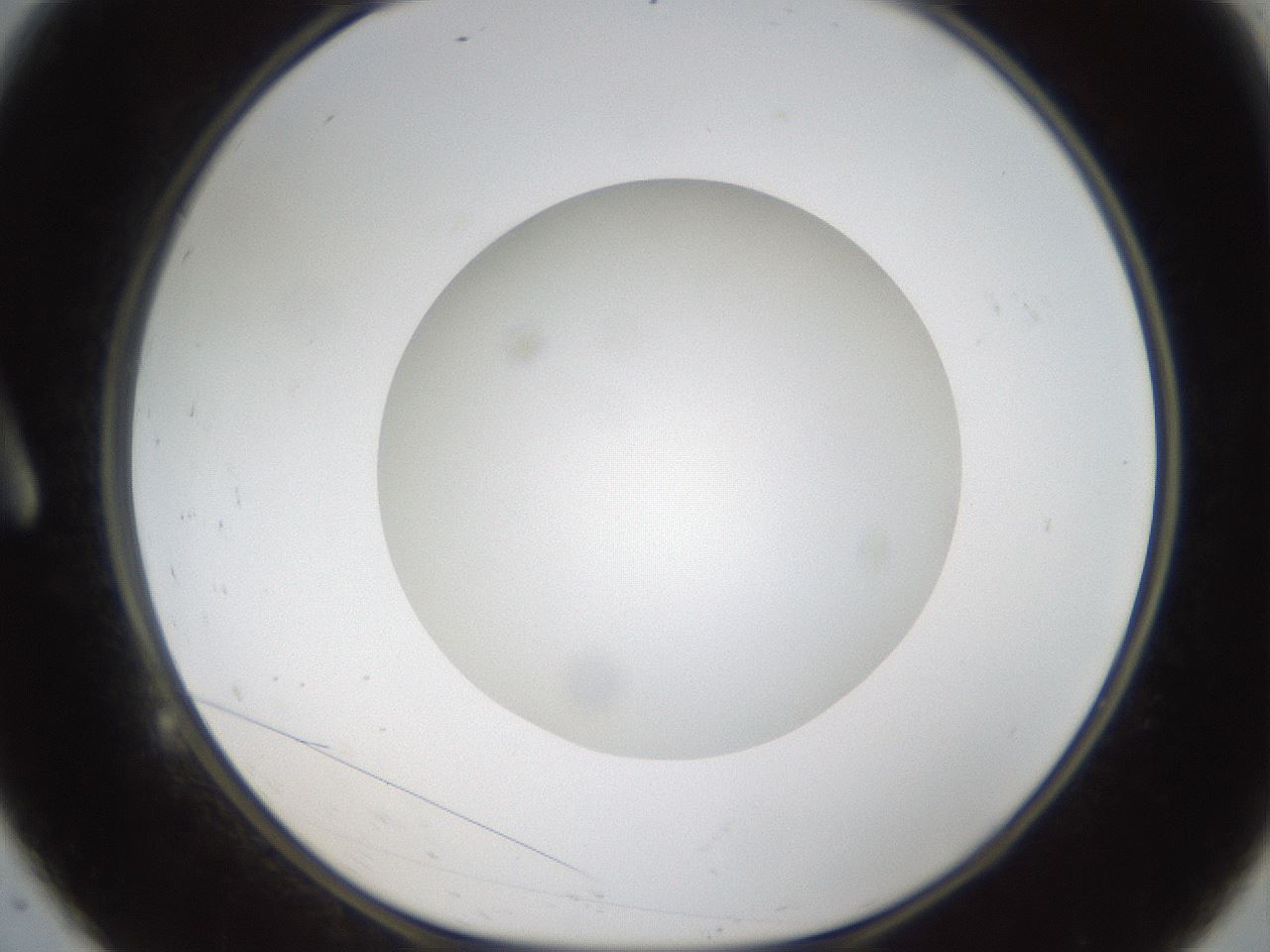 folderID304_plateID1304_batchID4270_wellNum9_profileID1_d1_r78784_ef.jpg